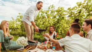 Magnetic Hill Winery Flights & Bites Experience